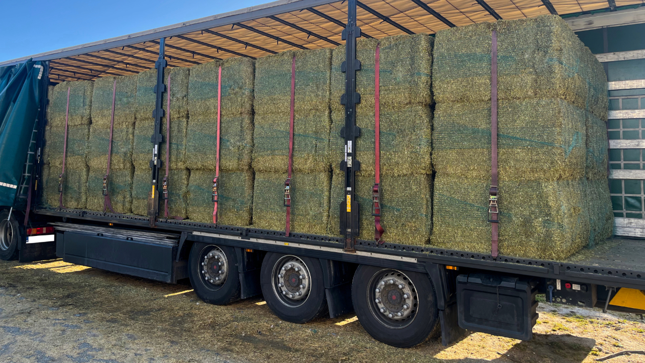 Navigating Seasonal Demand in the HGV and PSV Industry
